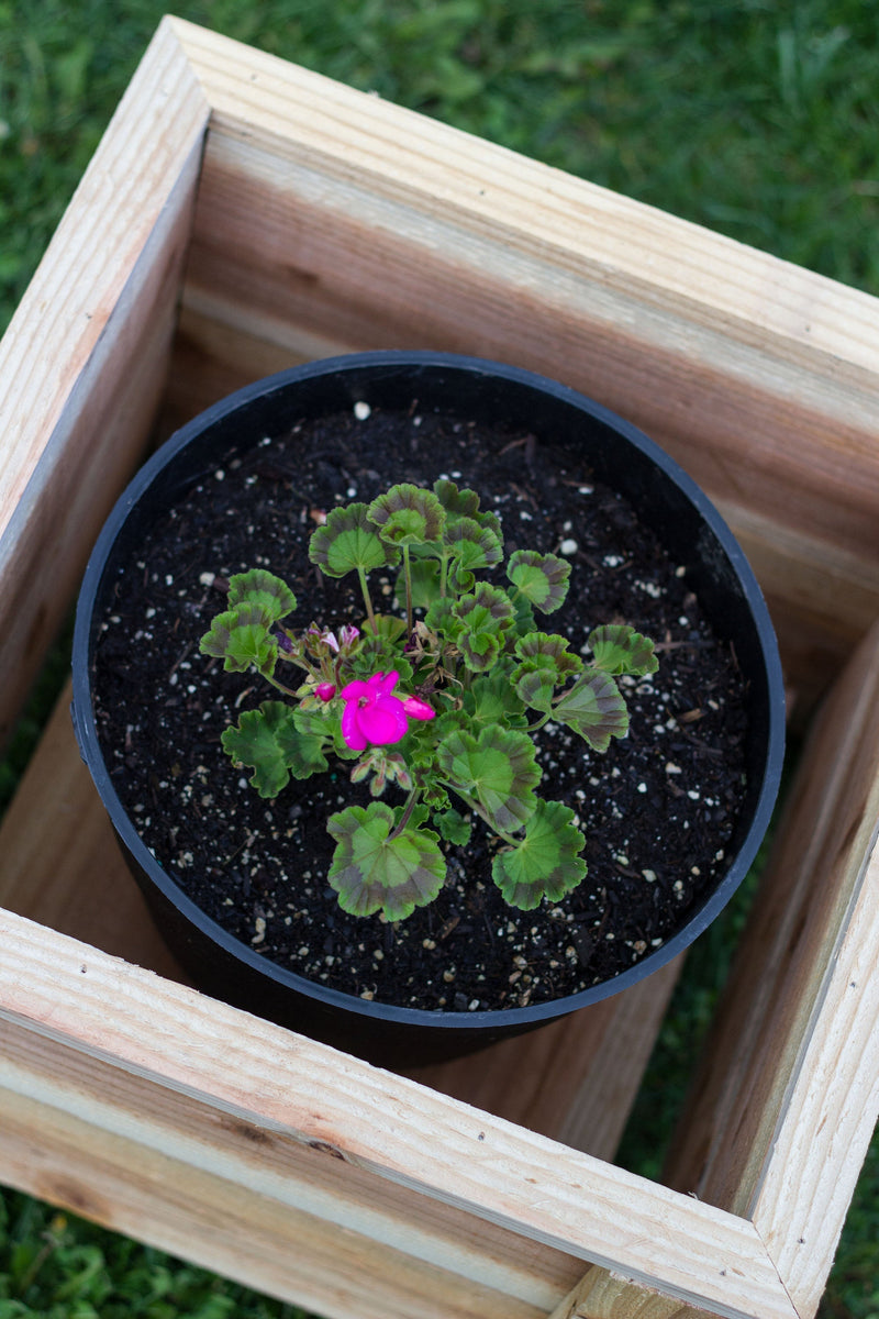 Outdoor Cedar Planter