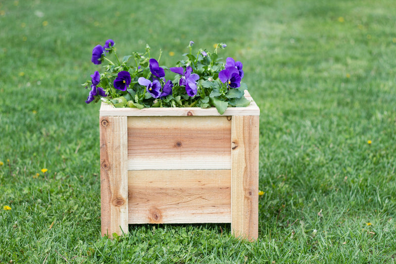 Outdoor Cedar Planter