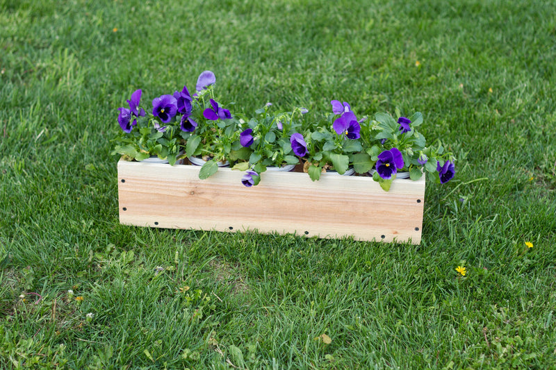 Cedar Window Box Planter