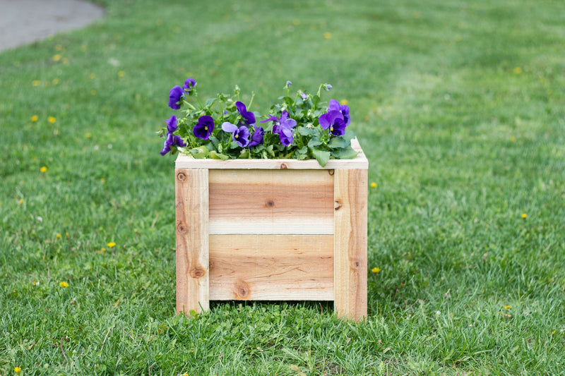 Outdoor Cedar Planter