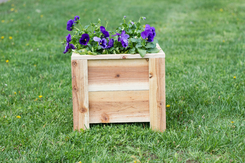 Outdoor Cedar Planter